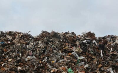 Not All Scrap is Created Equal: Identifying and Recycling Specific Metal Types (e.g., Copper, Aluminum, Steel)